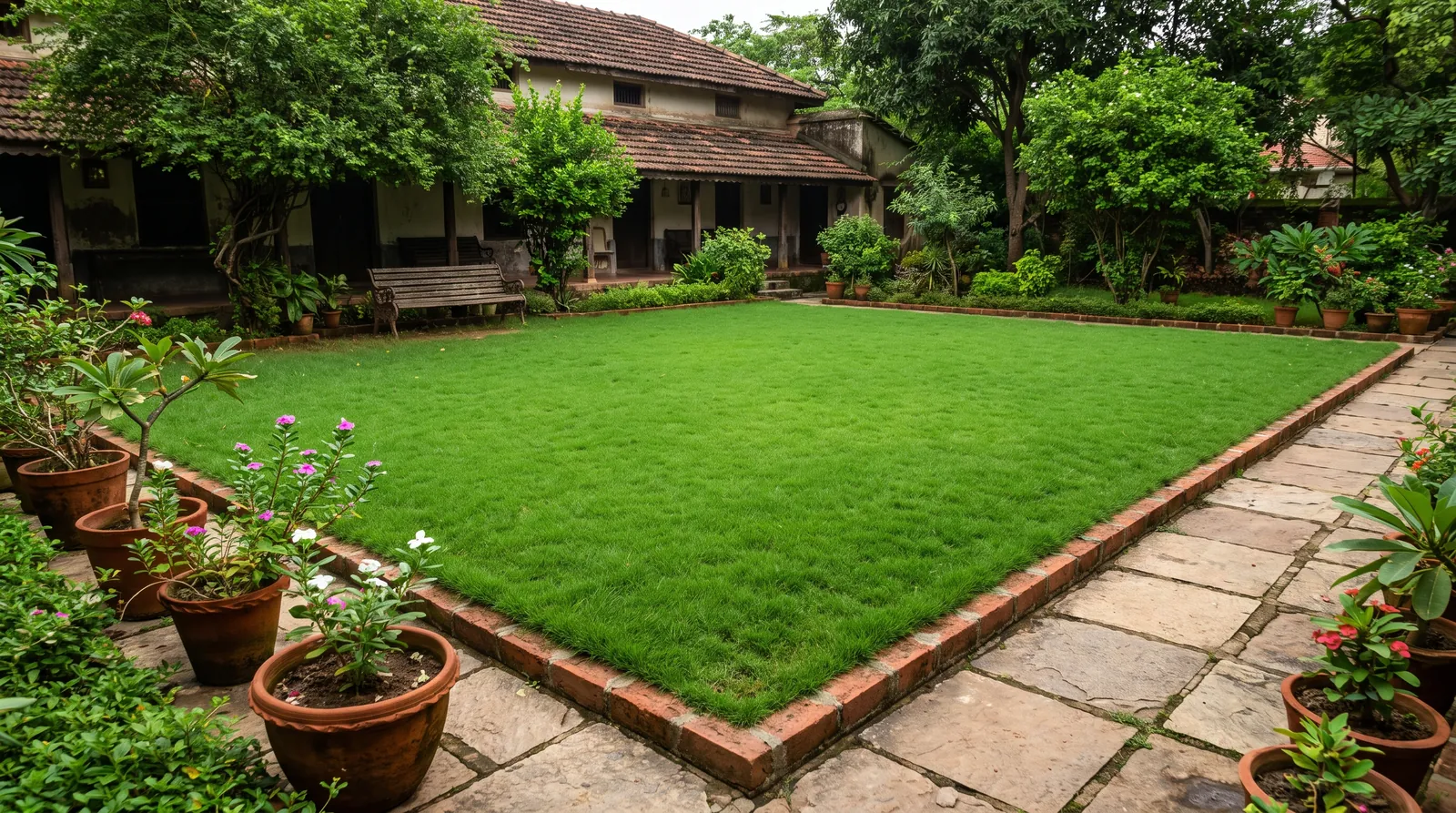 Same lawn after recovery work
